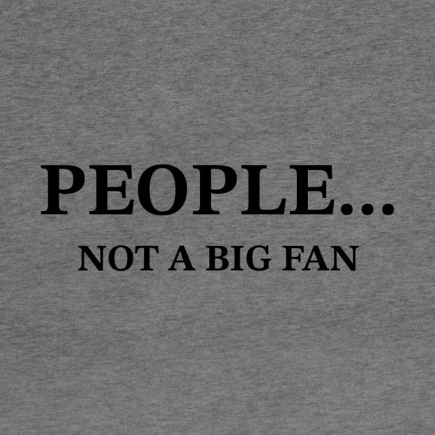 People... Not A Big Fan Sarcastic T-Shirt, Snarky Quote Tee for Casual Wear, Perfect Gift for Introverts and Humor Lovers by TeeGeek Boutique